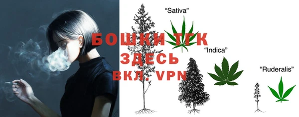 бошки Арсеньев