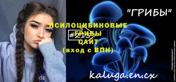 бошки Арсеньев